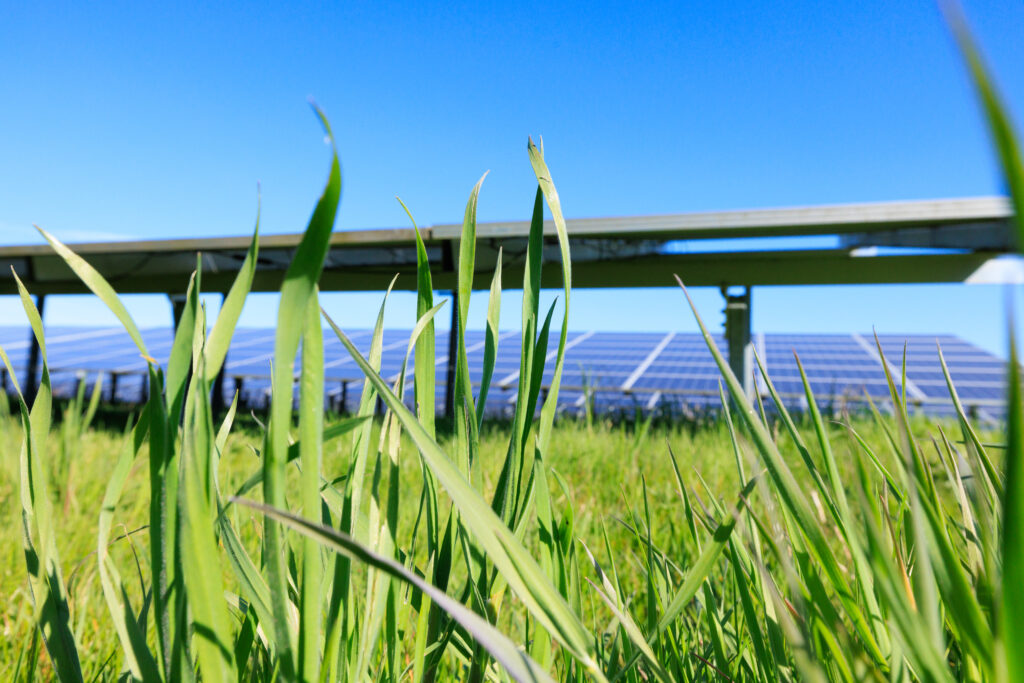 Freiflächen Photovoltaik: Ihr Land für nachhaltigen Strom aus erneuerbaren Energien und die Schonung unserer Umwelt