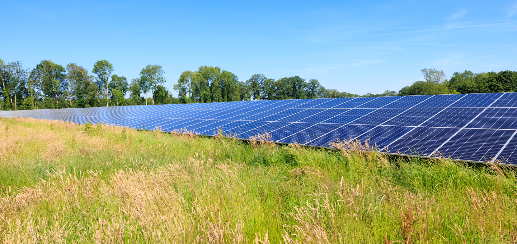 Landwirtschaft aufgeben? Verpachten Sie Ihr Grundstück lieber für Photovoltaikanlagen.