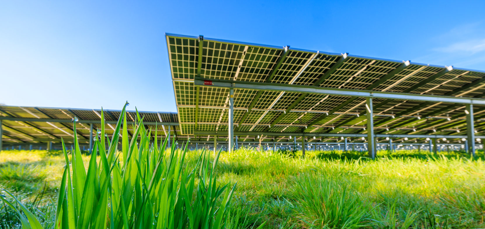 Solarparks sind unverzichtbar für die Energiewende.